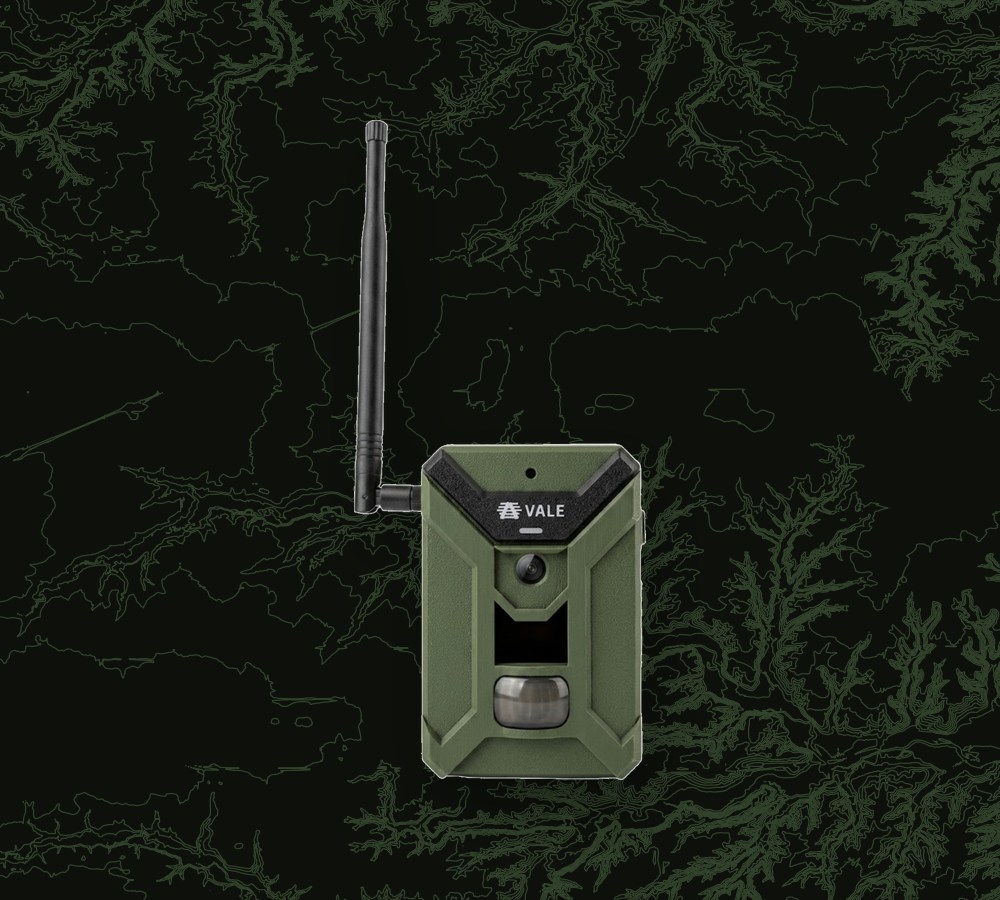 Vale Mesh Grid Camera