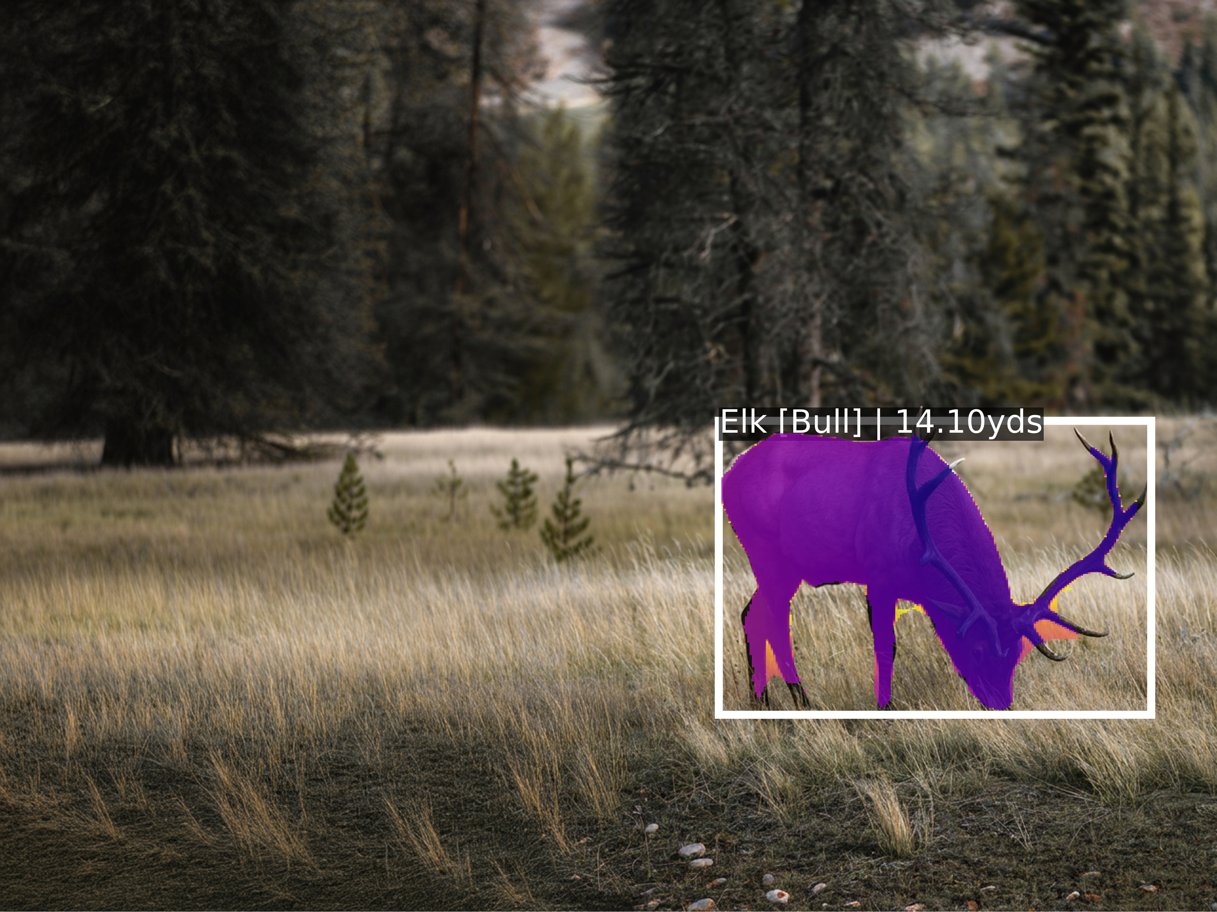 Elk with AI detection and thermal analysis overlay