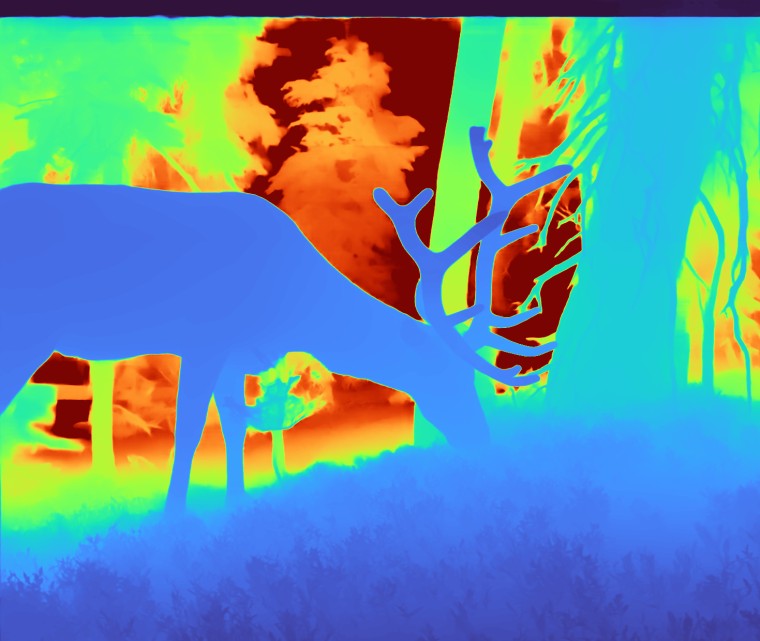 Depth map of the scene